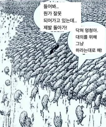 ?src=http%3A%2F%2Fblogfiles.naver.net%2FMjAyMTA5MjFfMTIz%2FMDAxNjMyMTUyNzIzMDYy.6wibdBpab8rFjnOI6qnUR4w4TzYKUVketOuCLeONj8Mg.QBkz4_aQ4NUk0UyTk07yg6_jg58xL1vjUjVcMzr1Ps8g.JPEG.lovingyeshua11%2FSE-b0e2e386-2177-4215-86fa-a31a2182bc38.jpg&type=a340