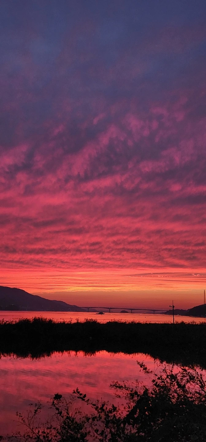 temp_1663796809040.1104237359.jpeg?type=w773