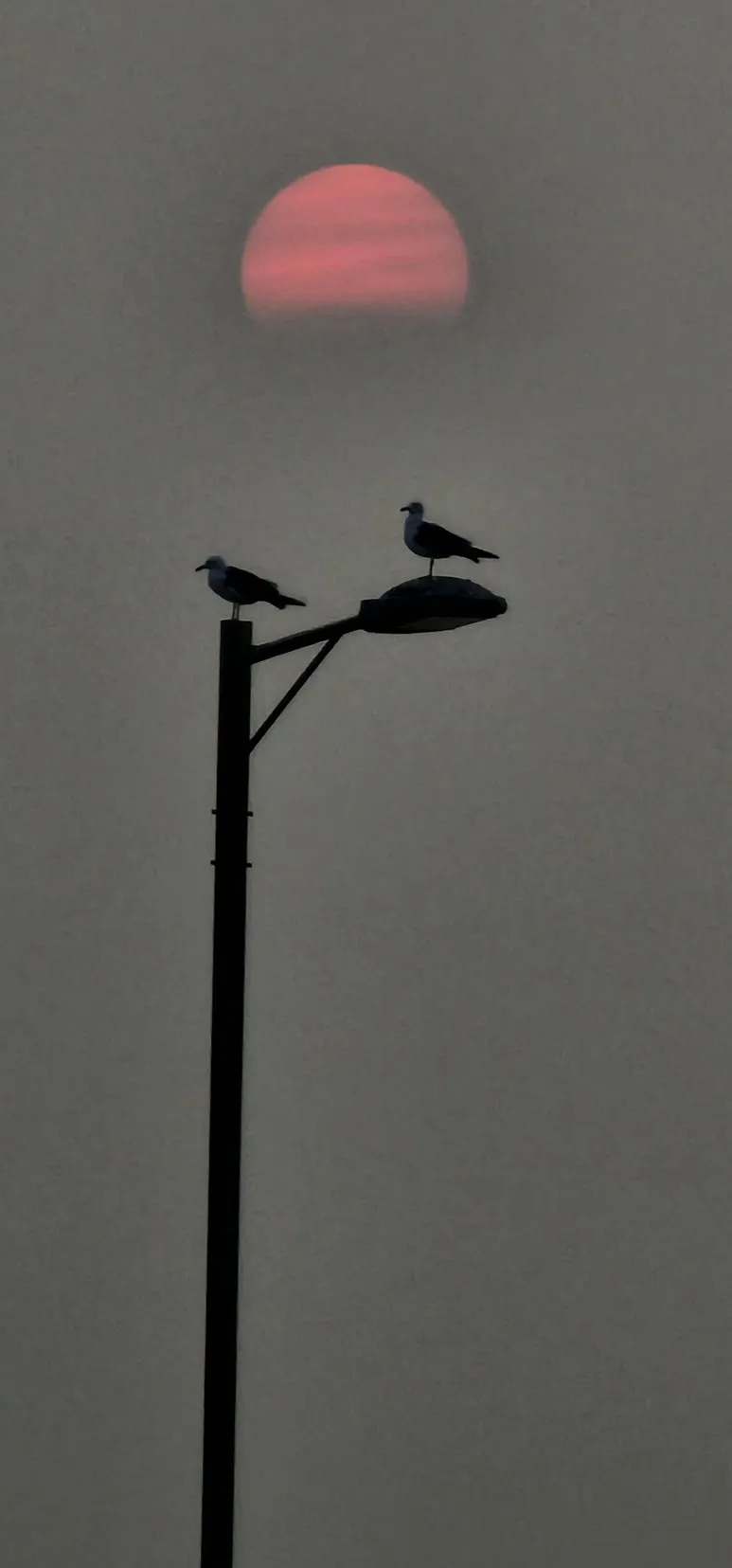 KakaoTalk_20240714_113339465.jpg?type=w773