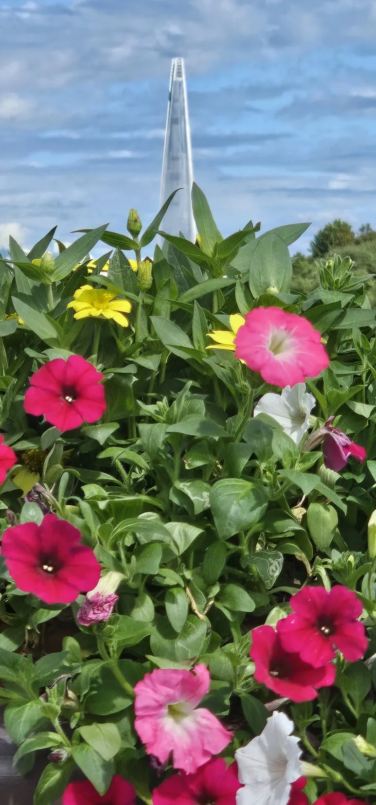 temp_1727043528848.-627791098.jpeg?type=w773