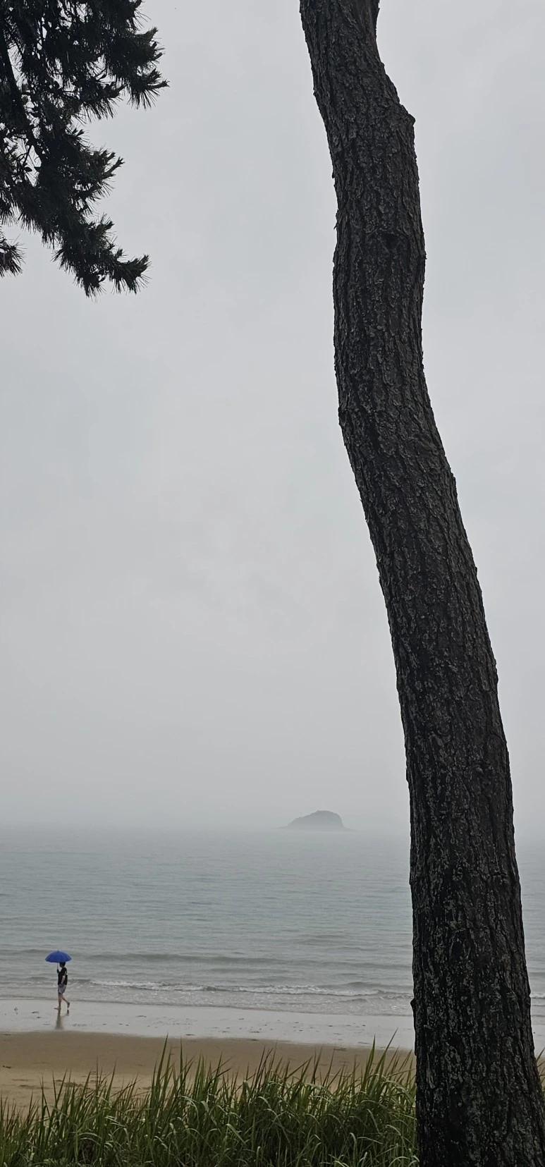 temp_1689802004214.883381785.jpeg?type=w773