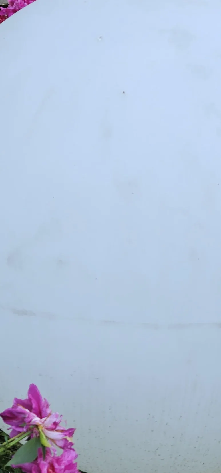 temp_1717368480737.606856837.jpeg?type=w773