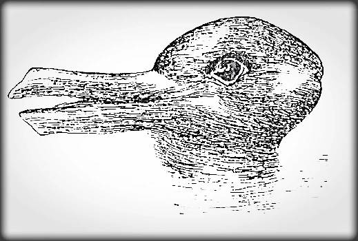 CYMERA%EF%BC%BF20220719%EF%BC%BF142516.jpg?type=w773