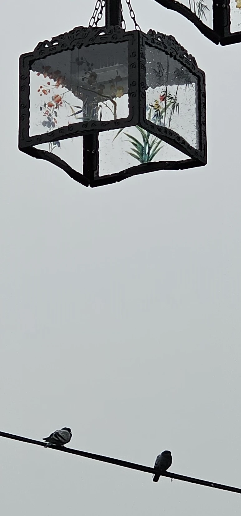 temp_1702594603363.1424779922.jpeg?type=w773