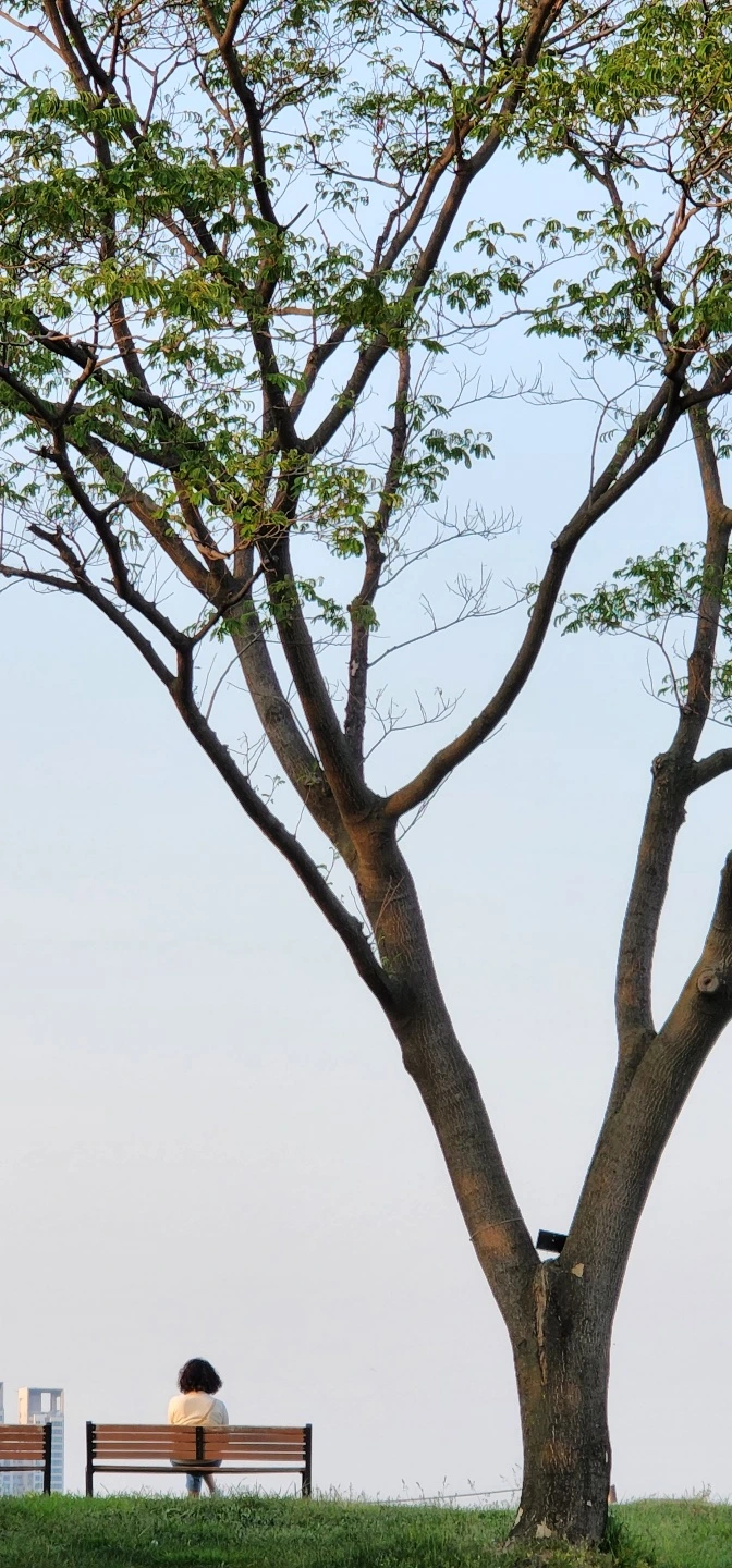 temp_1653949466633.-968398675.jpeg?type=w773