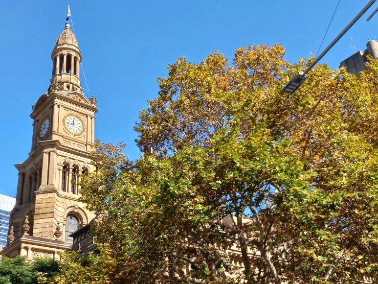 20230516_114659.jpg?type=w773