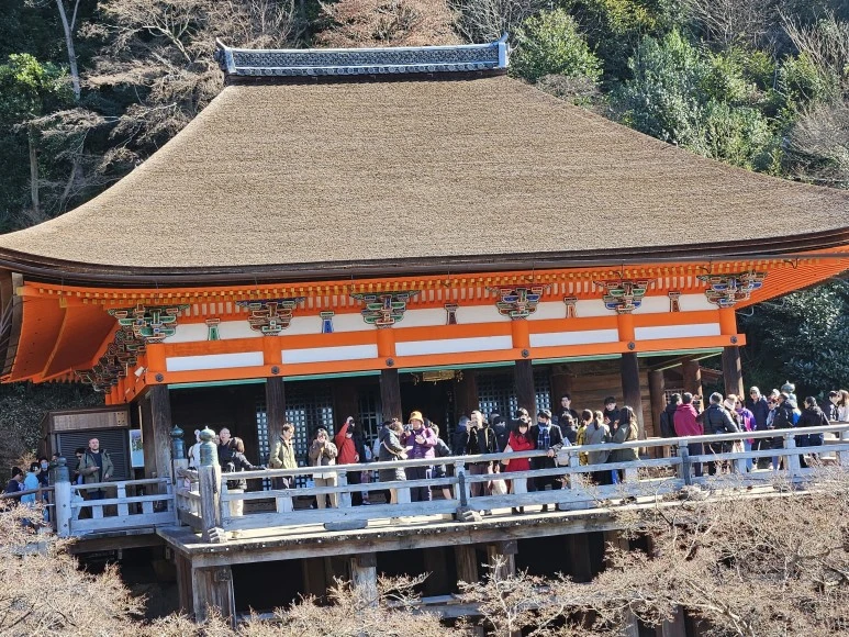 20240117_114418.jpg?type=w773