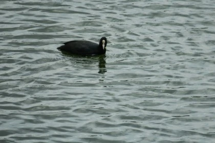 temp_1652221641314.-1132269394.jpeg?type=w773