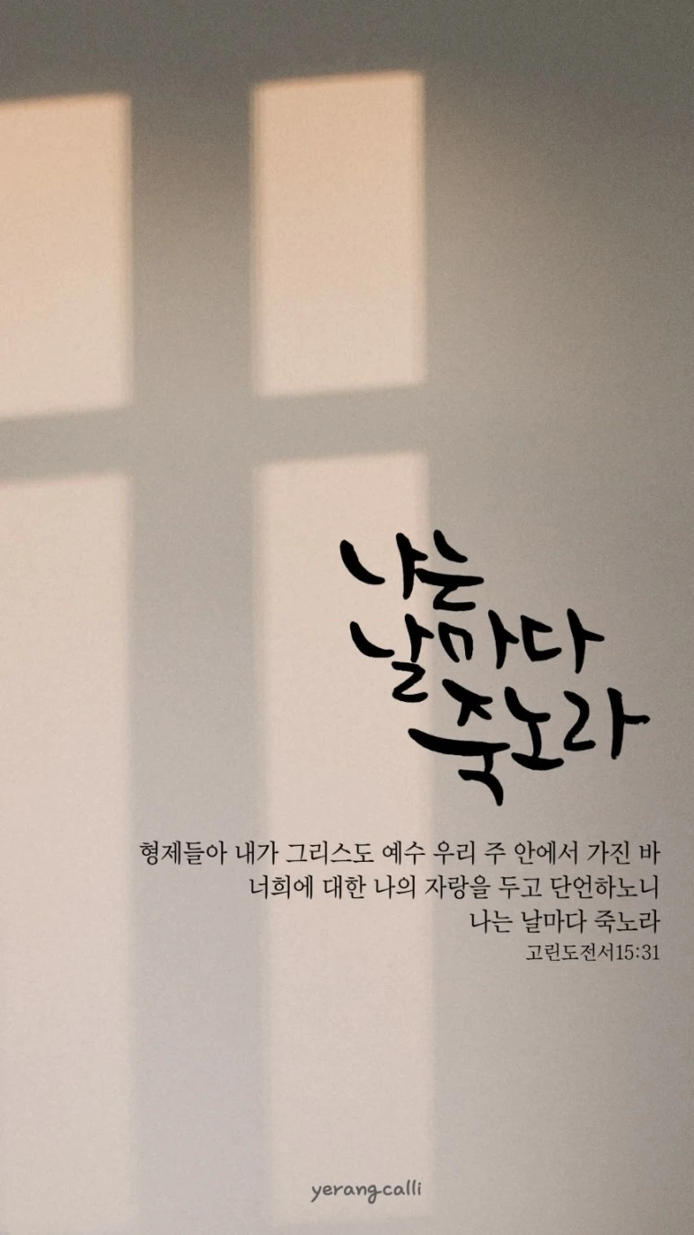 1703759645392.jpg?type=w773