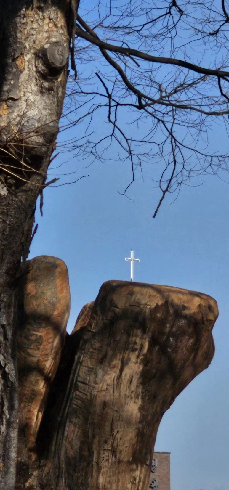 temp_1703111446700.-537831922.jpeg?type=w773