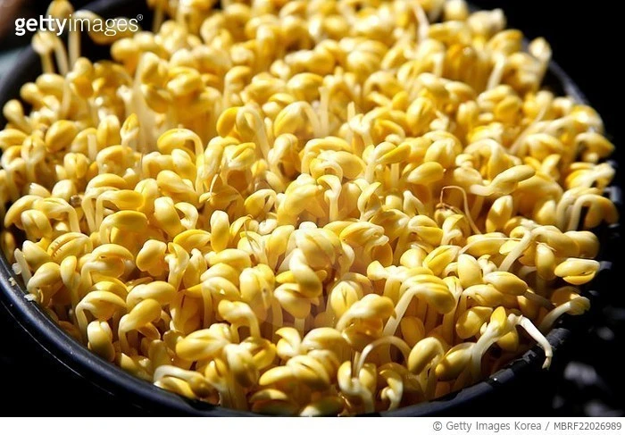 ?src=https%3A%2F%2Fthumb2.gettyimageskorea.com%2Fimage_preview%2F700%2F202210%2FMBRF%2FMBRF22026989.jpg&type=sc960_832