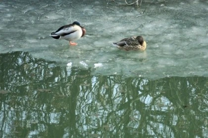 temp_1649801168119.-4825655.jpeg?type=w773