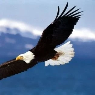 ?src=http%3A%2F%2Fblogfiles.naver.net%2FMjAyMTA5MTlfMTUz%2FMDAxNjMyMDI3MDMwNzQ4.oojM0H5g4xeTNs6qhEg9BkI5lLr_91wDbUnWZi6y_EEg.XzB-wOFQdZkcL8izRU6tlg4yFhVci3H53moUnh17KXQg.JPEG.new_adelphos%2FYU49JVWI_400x400.jpg&type=sc960_832