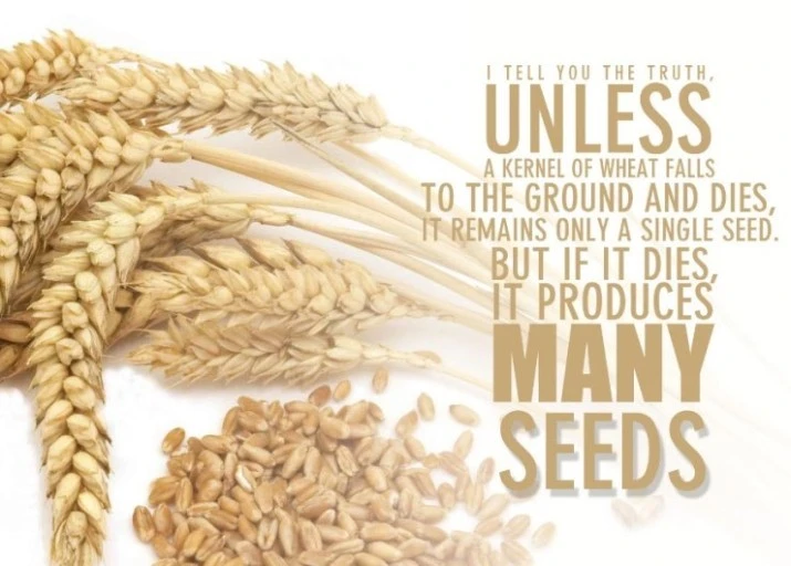 ?src=http%3A%2F%2Fblogfiles.naver.net%2F20160207_105%2Ffide366_1454799762927s2qYR_JPEG%2F%25C7%25D1_%25BE%25CB%25C0%25C7_%25B9%25D0%25BE%25CB.jpg&type=sc960_832