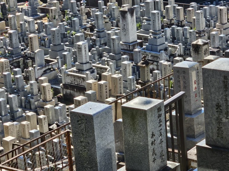 20240117_120552.jpg?type=w773