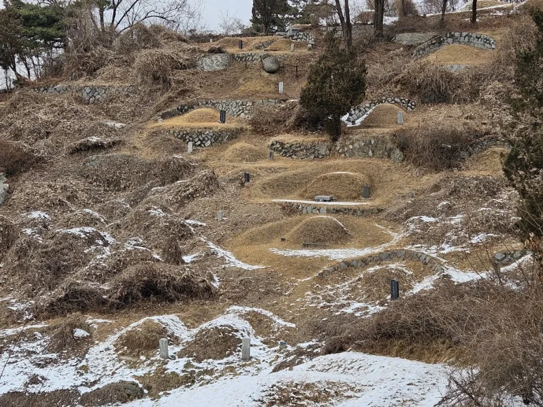 KakaoTalk_20250205_080013630.jpg?type=w773