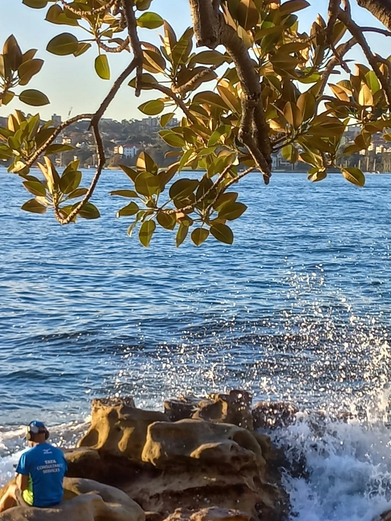 20230519_161923.jpg?type=w773