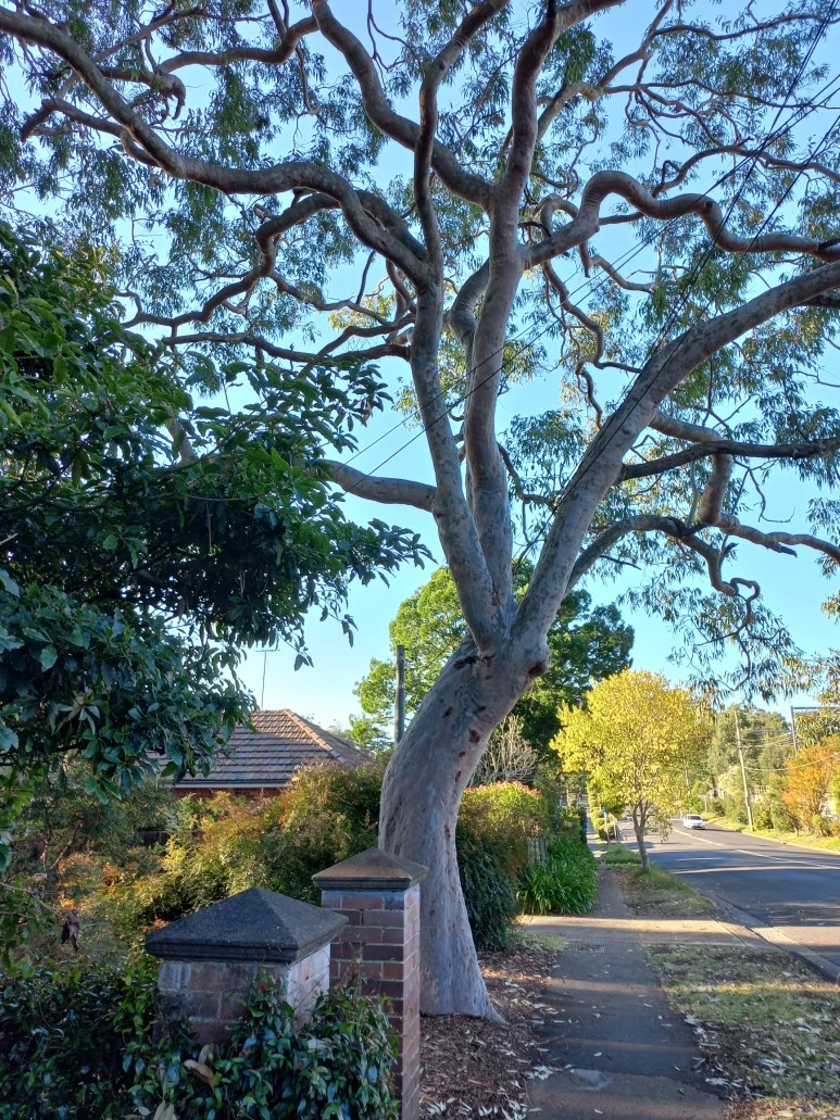 20230527_153328.jpg?type=w773