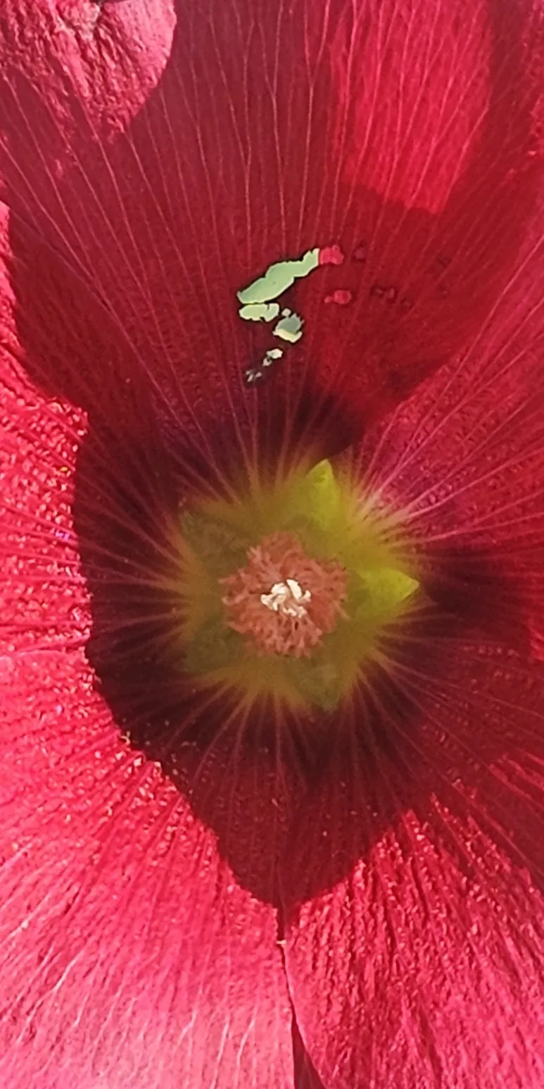 KakaoTalk_20240618_090843007.jpg?type=w773