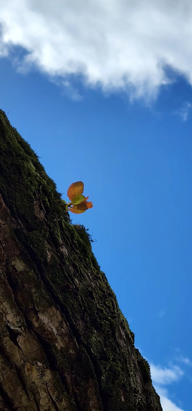 temp_1652133991590.-321042703.jpeg?type=w773