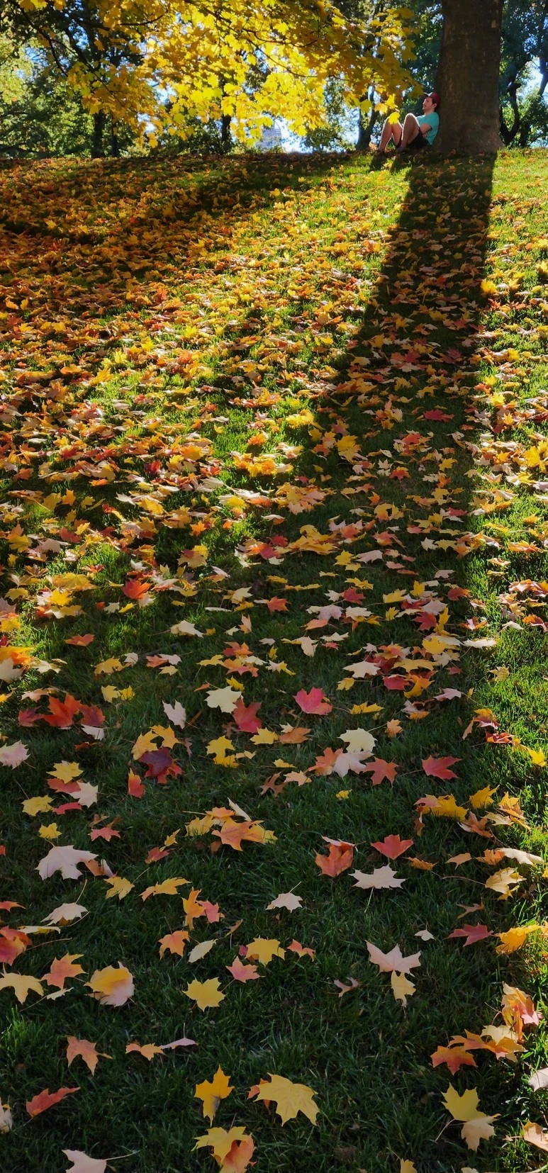 temp_1667340462206.2024687007.jpeg?type=w773