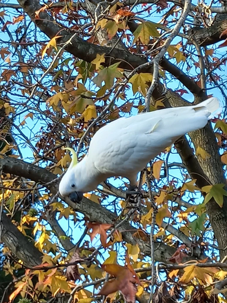 20230527_154944_(1).jpg?type=w773