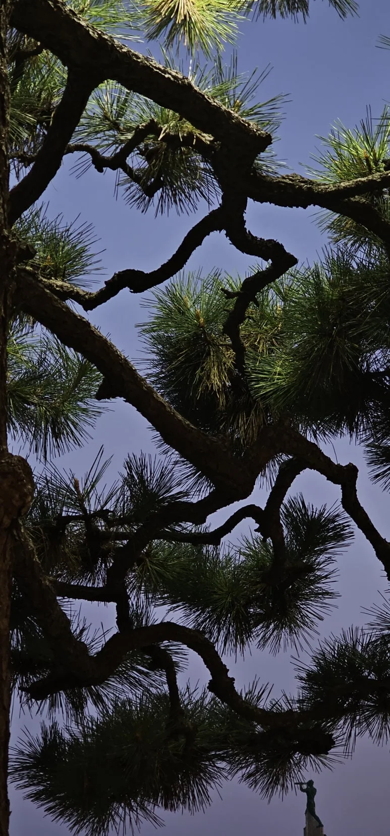 KakaoTalk_20241210_080237849.jpg?type=w773