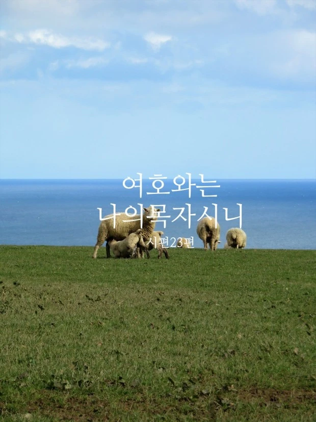 %EB%8B%A4%EC%9A%B4%EB%A1%9C%EB%93%9C_(1).jpg?type=w773