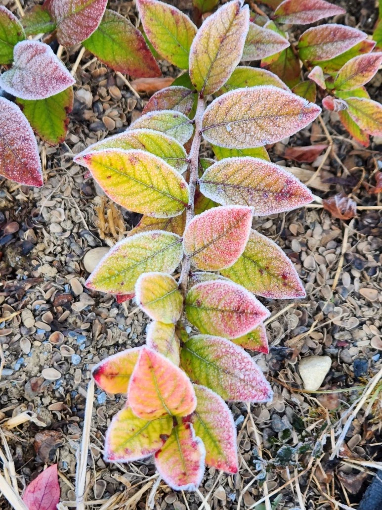 1666214985582-3.jpg?type=w773