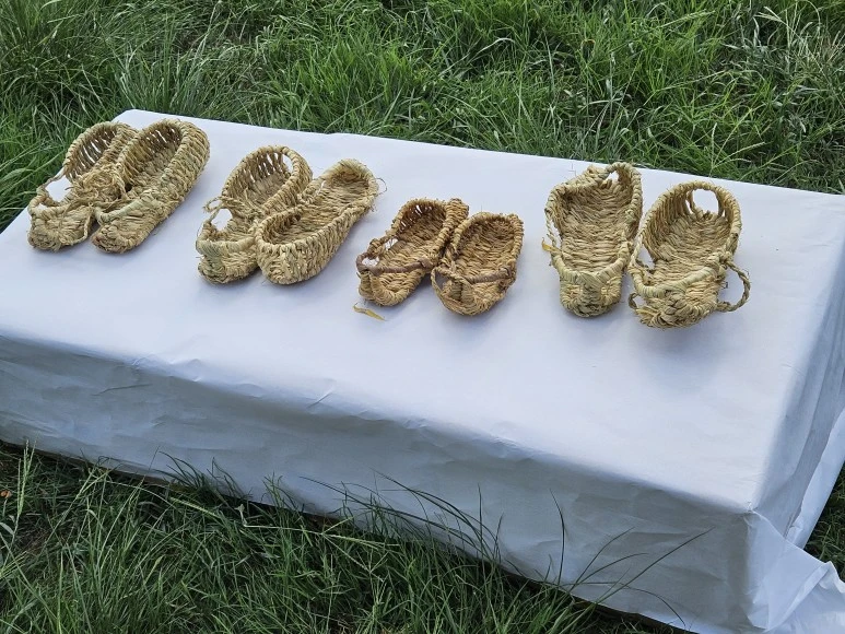 20230903_095430.jpg?type=w773