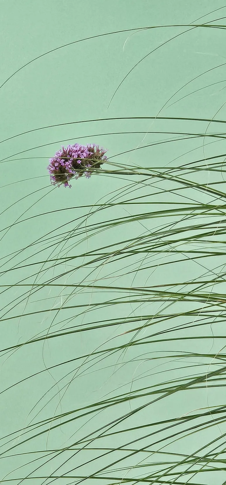 KakaoTalk_20240715_163201104.jpg?type=w773