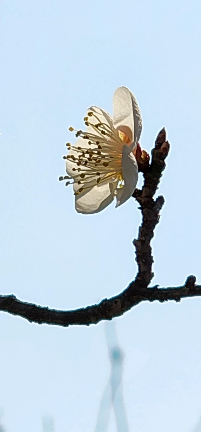 temp_1649629291375.464203302.jpeg?type=w773