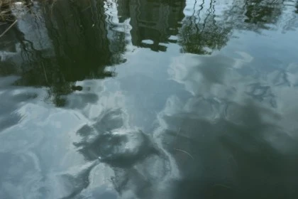 temp_1652824557603.1518948267.jpeg?type=w773