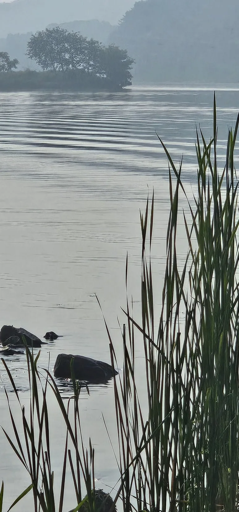 temp_1719267059257.1192250383.jpeg?type=w773