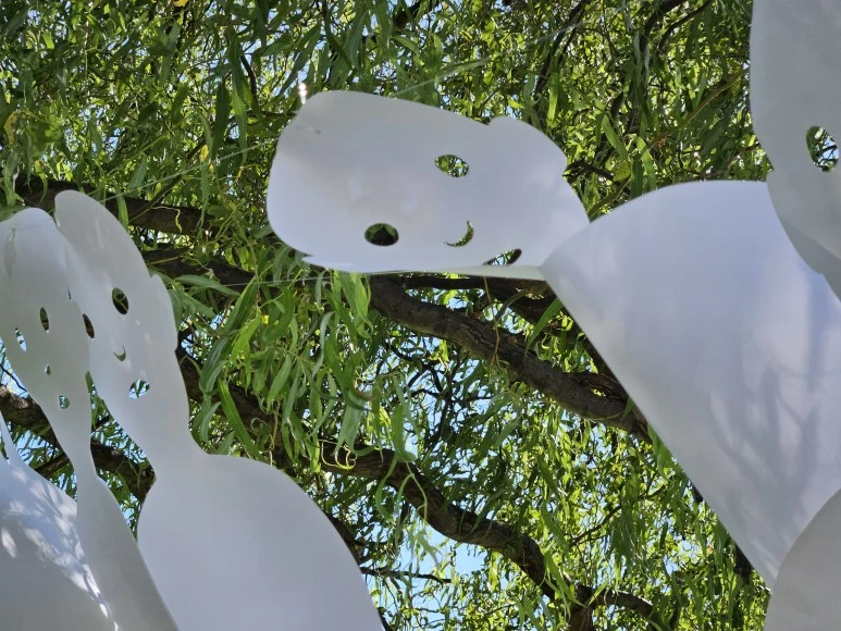 20230903_102247.jpg?type=w773