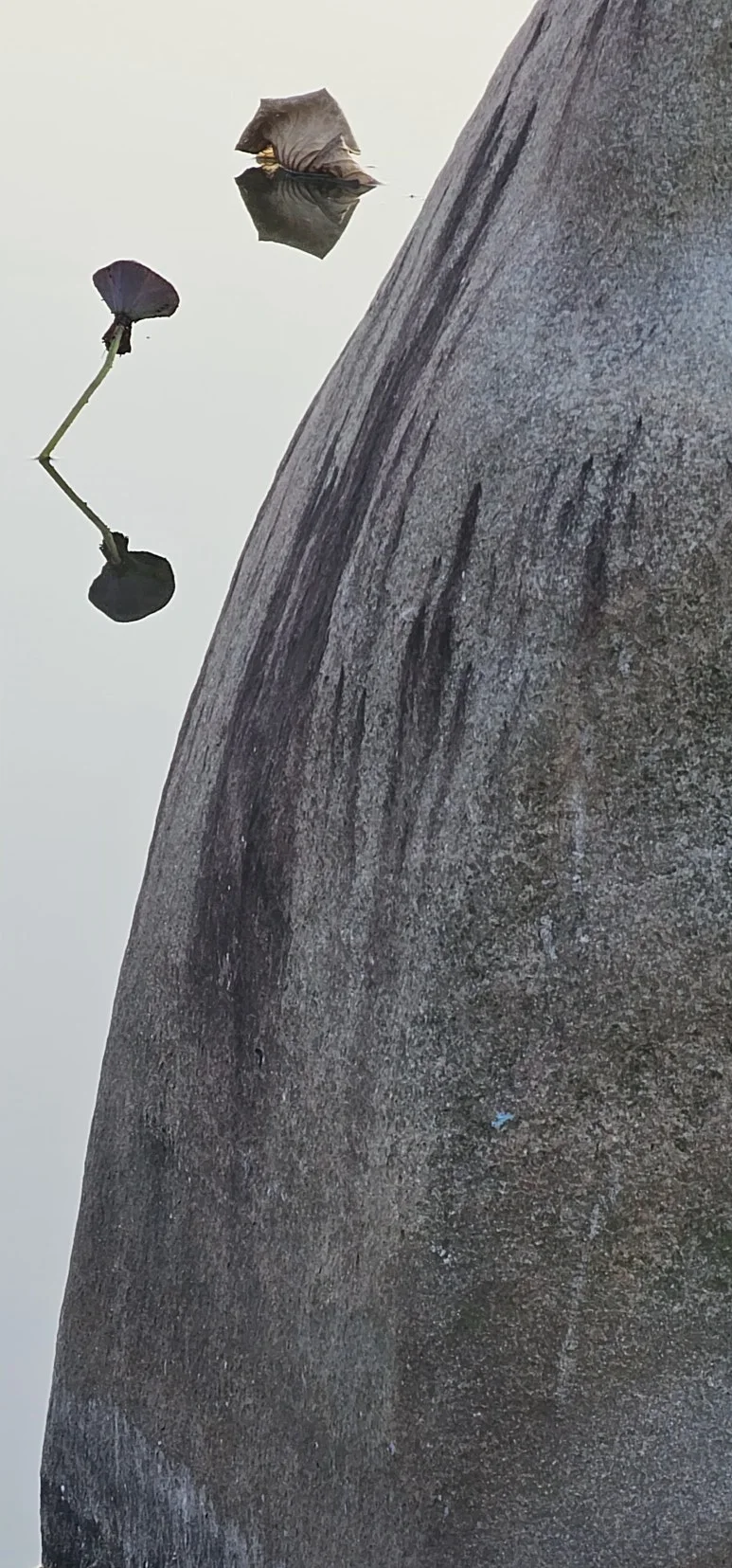 KakaoTalk_20241211_091203258.jpg?type=w773