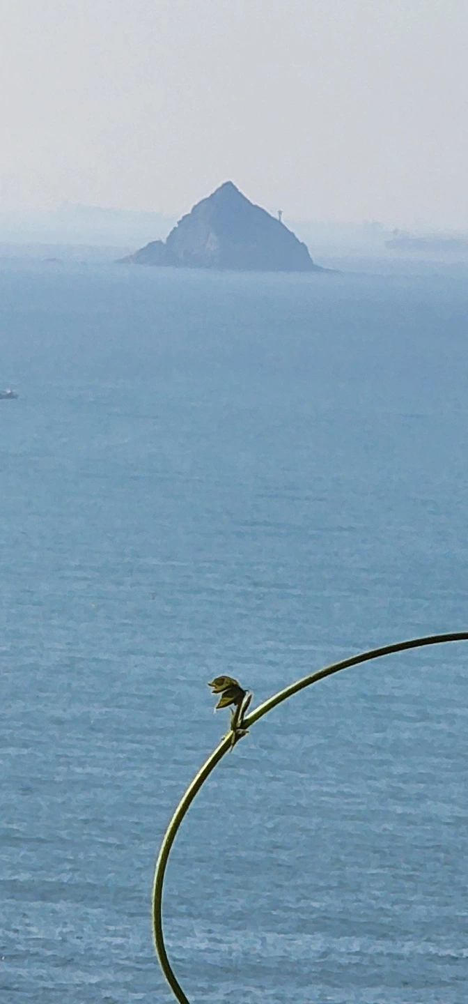 temp_1653258097911.-229452939.jpeg?type=w773