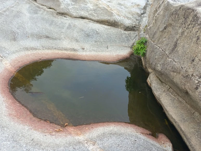 20230608_065358.jpg?type=w773