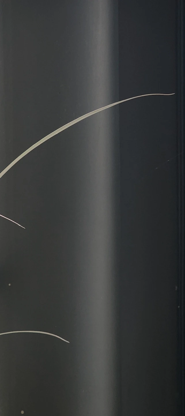 temp_1662326055880.-1972324465.jpeg?type=w773