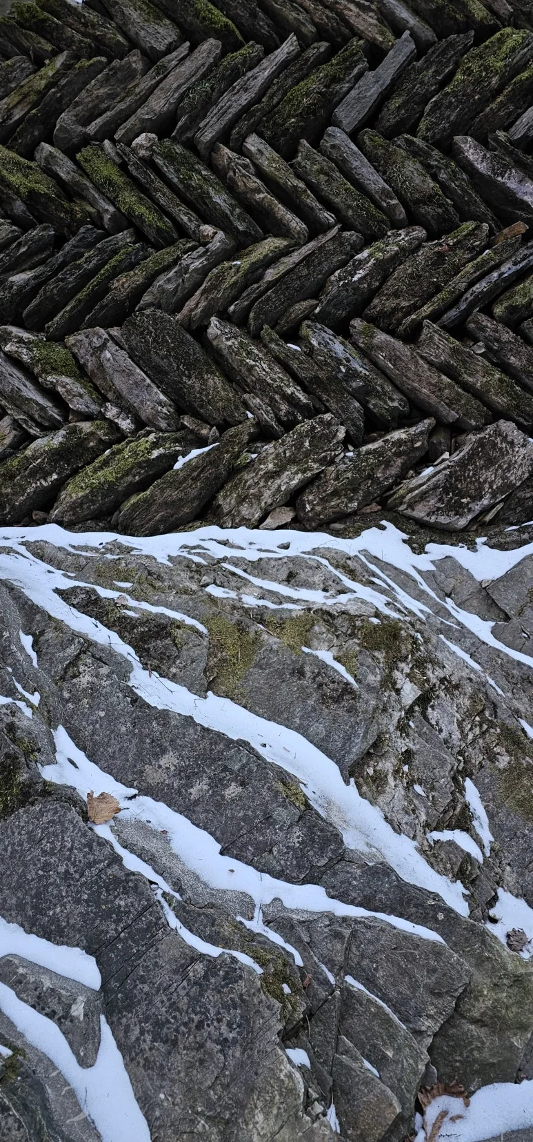 KakaoTalk_20250113_122835627.jpg?type=w773