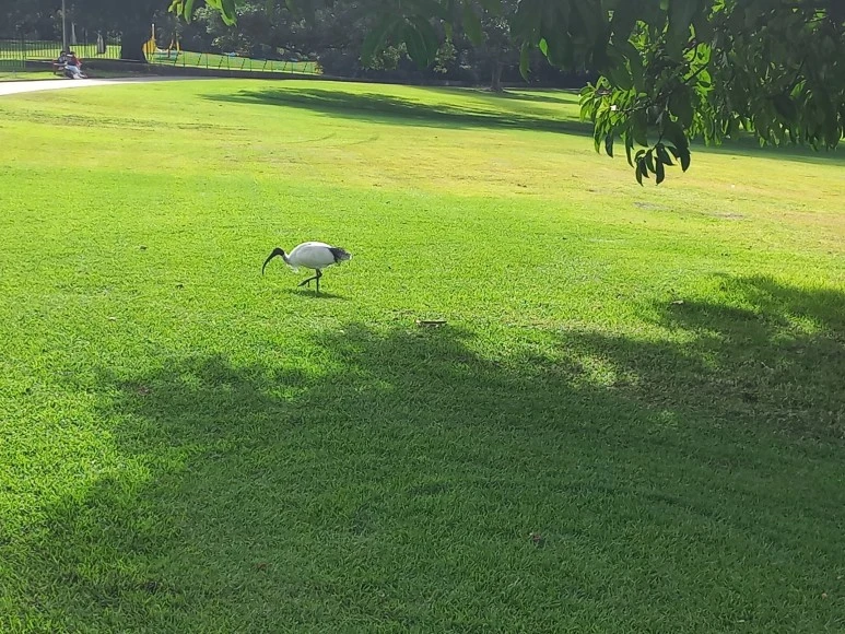 20230525_110843.jpg?type=w773