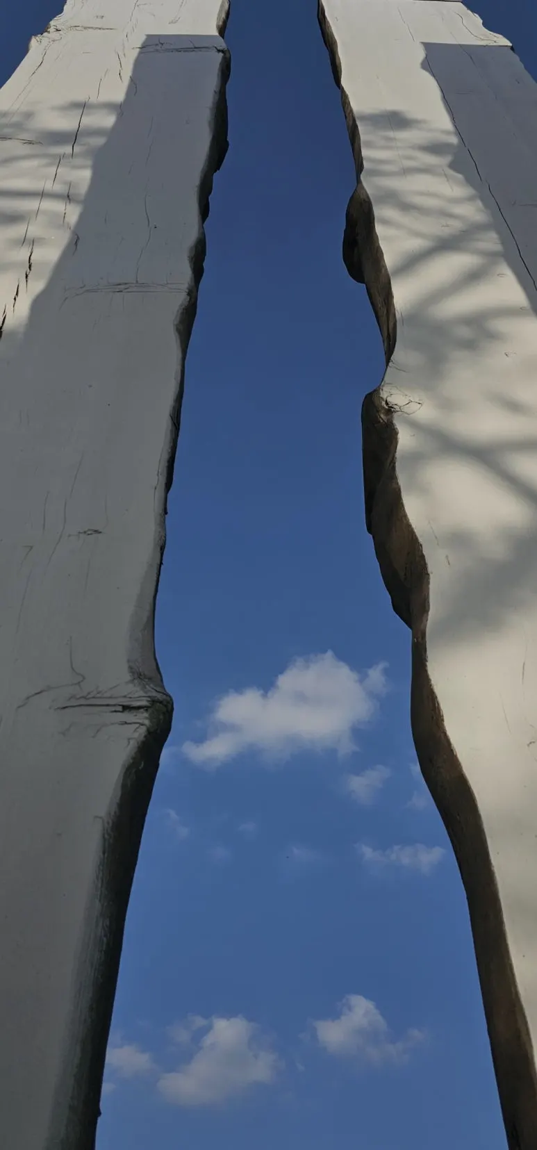 temp_1716247109858.1518744358.jpeg?type=w773