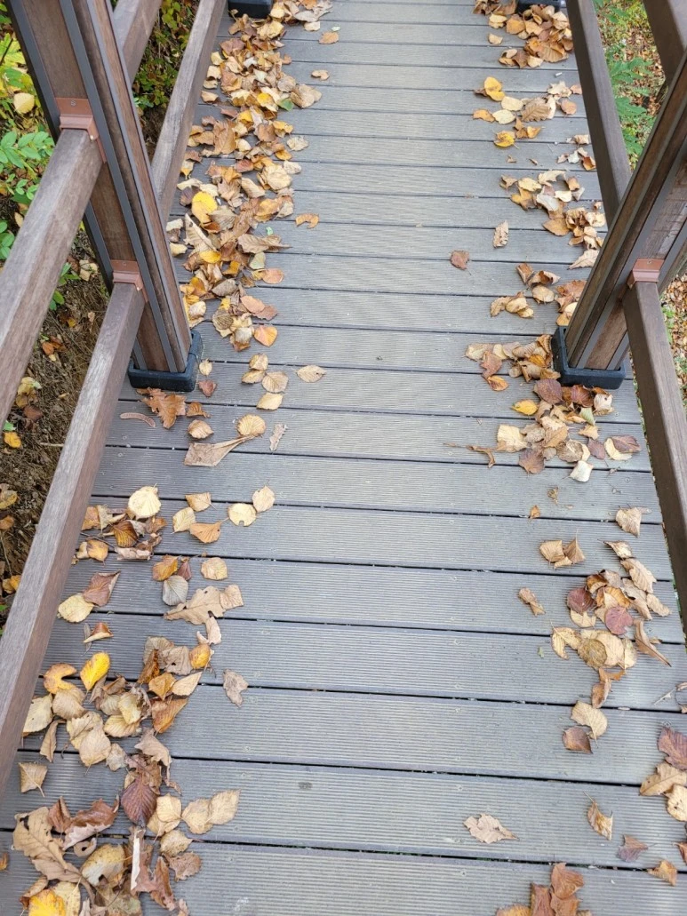 1667253752399.jpg?type=w773