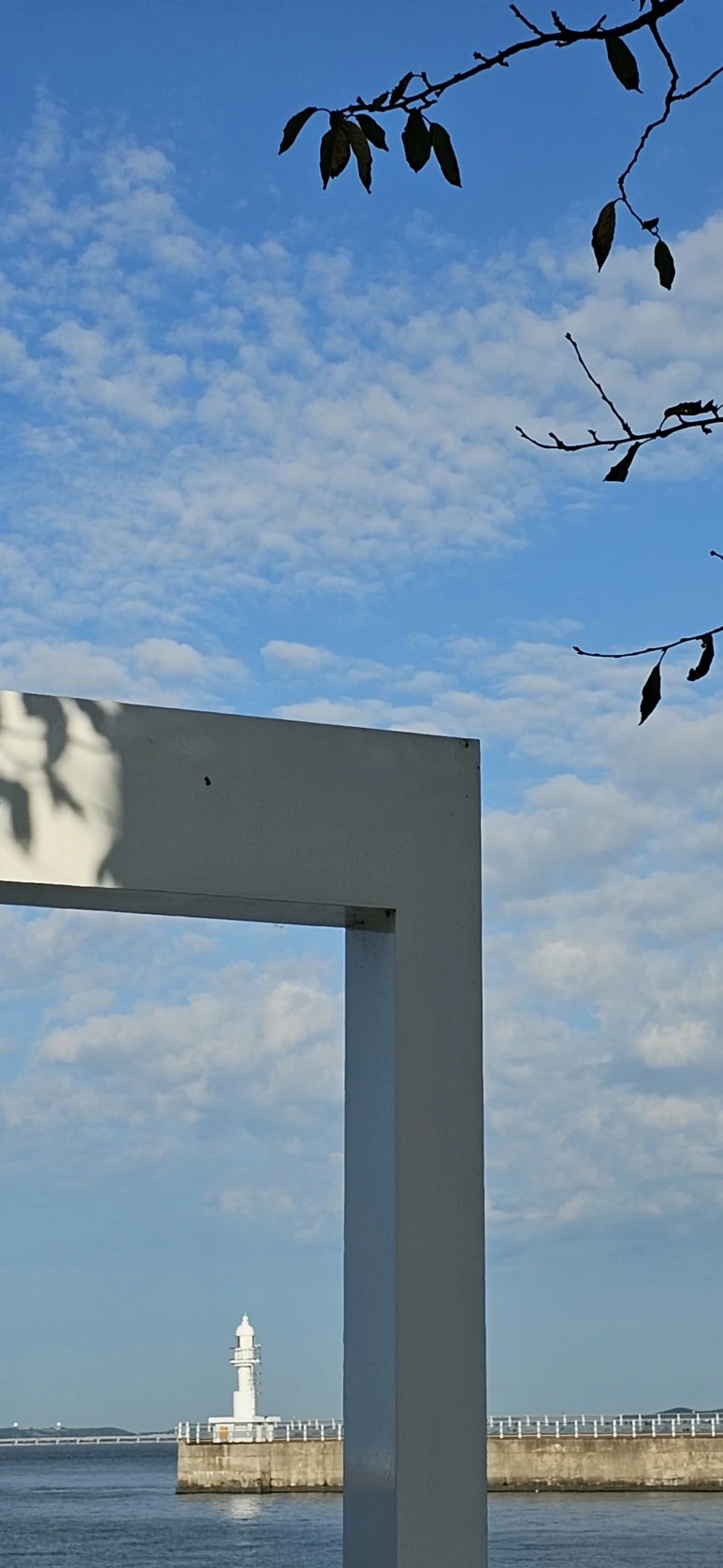 1692656542365.jpg?type=w773