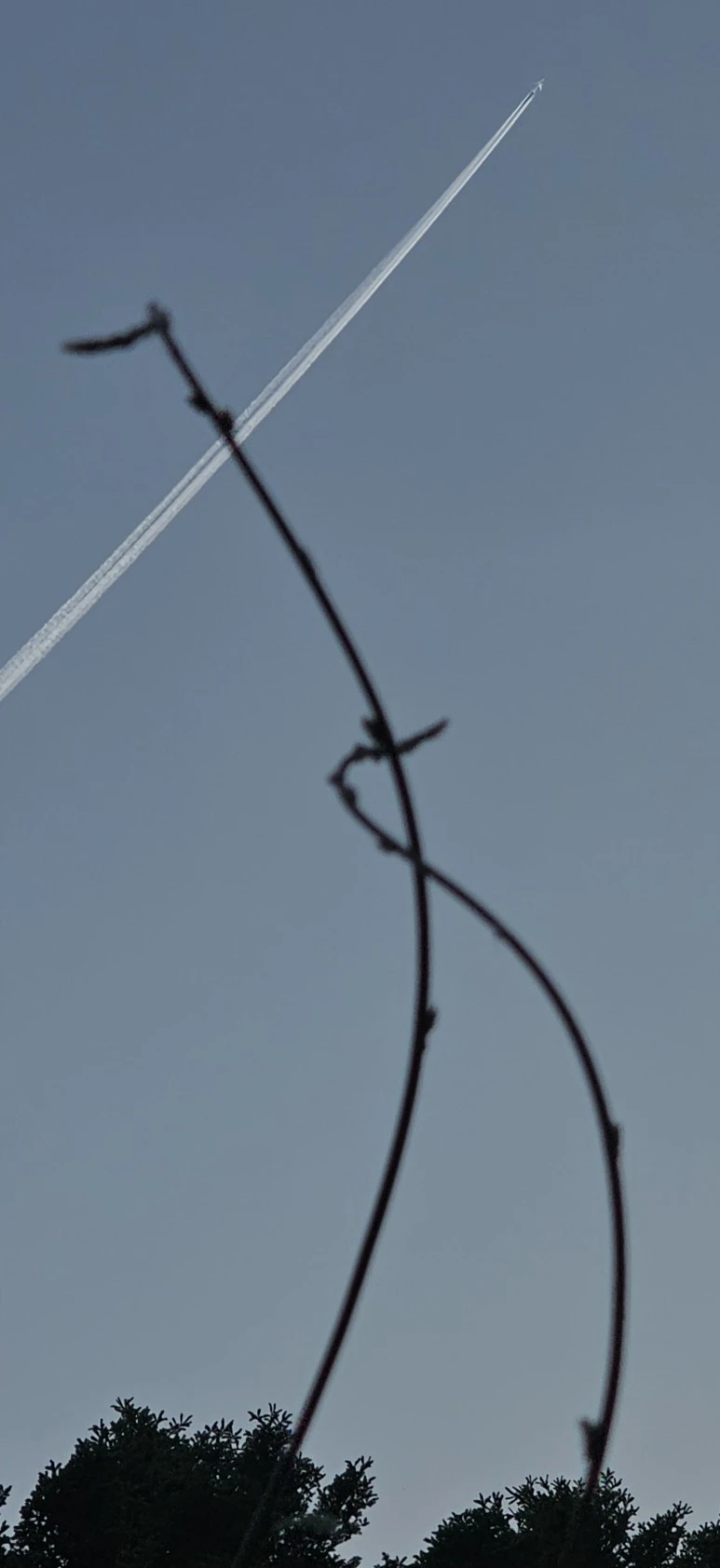 temp_1715300415765.-1091386634.jpeg?type=w773