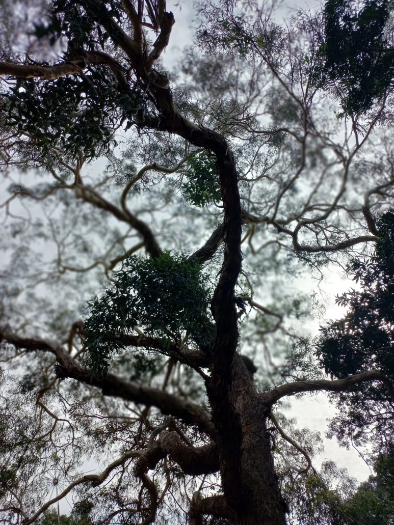 20230525_111937.jpg?type=w773