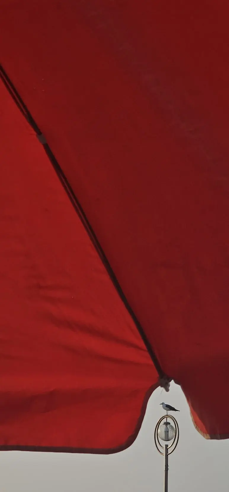 temp_1718059891343.726214536.jpeg?type=w773