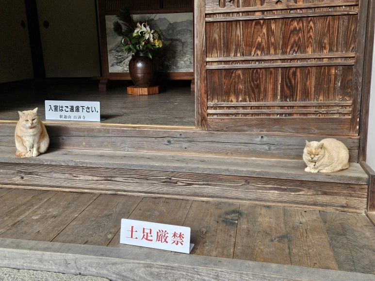 20240119_133218.jpg?type=w773