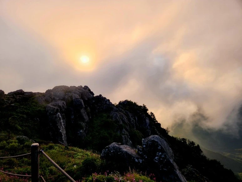 1661810498950-0.jpg?type=w773