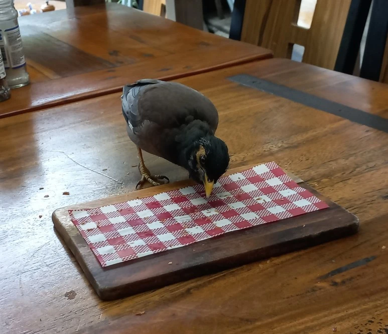 20230526_104224(0).jpg?type=w773